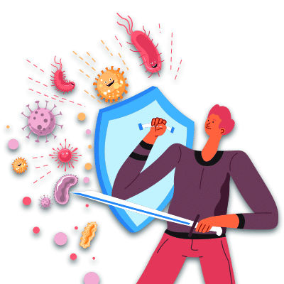 The parts of your immune system that fight infections actively.