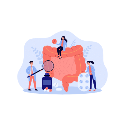 The role of your gut in better immunity