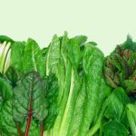 Get the benefits of a highly nutritious diet