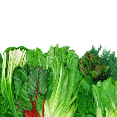 Get the benefits of a highly nutritious diet