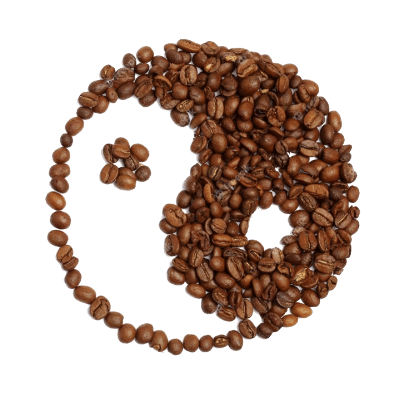 Vagus nerve affects your mind and body