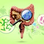 Gut Microbiome Is For Digestion