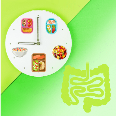 Meal Timings & Meal Frequency