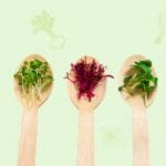 How microgreens can help boost immunity