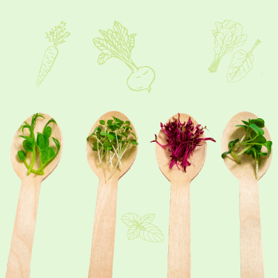 Boost Immunity With Microgreens