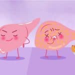 Learn more about fatty liver disease to protect your vital organ.