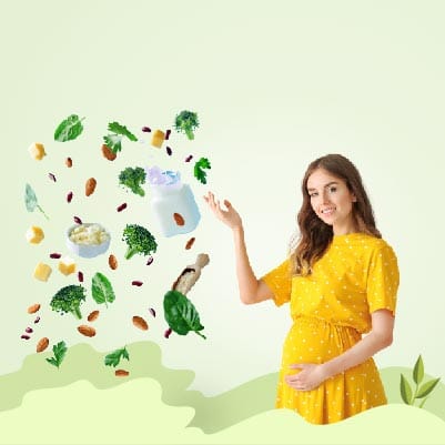 Diet During Pregnancy